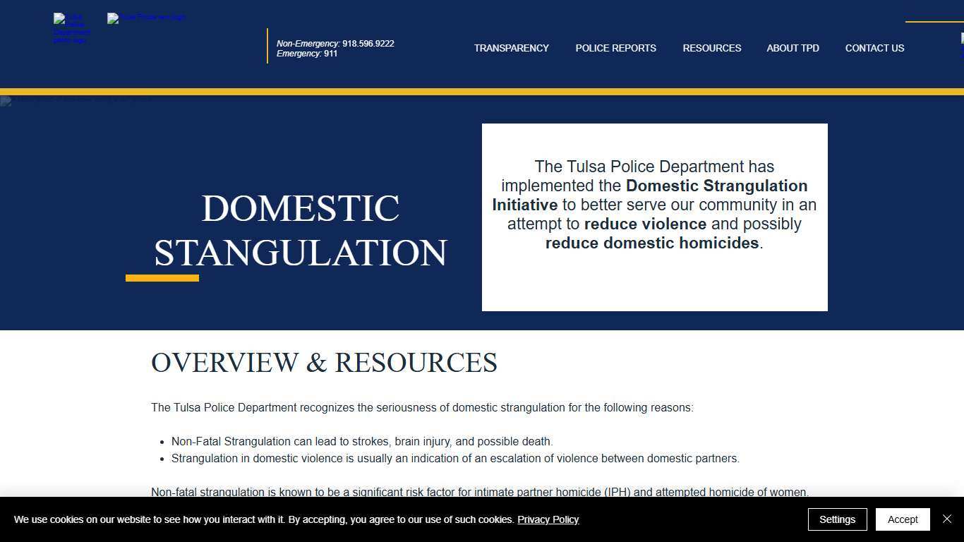 Domestic Strangulation Initiative Tulsa Police